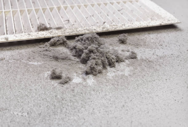 Best Dryer Vent Cleaning Services  in Delta, OH
