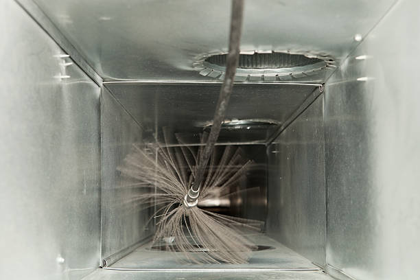 Best Air Vent Cleaning Services  in Delta, OH